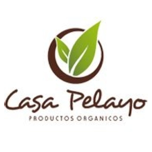 logo casa pelayo